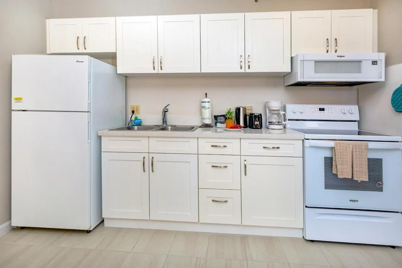 Diamond Head & Ocean View Gem Near Waikiki Beach, Parking'S On Us Honolulu Apartment