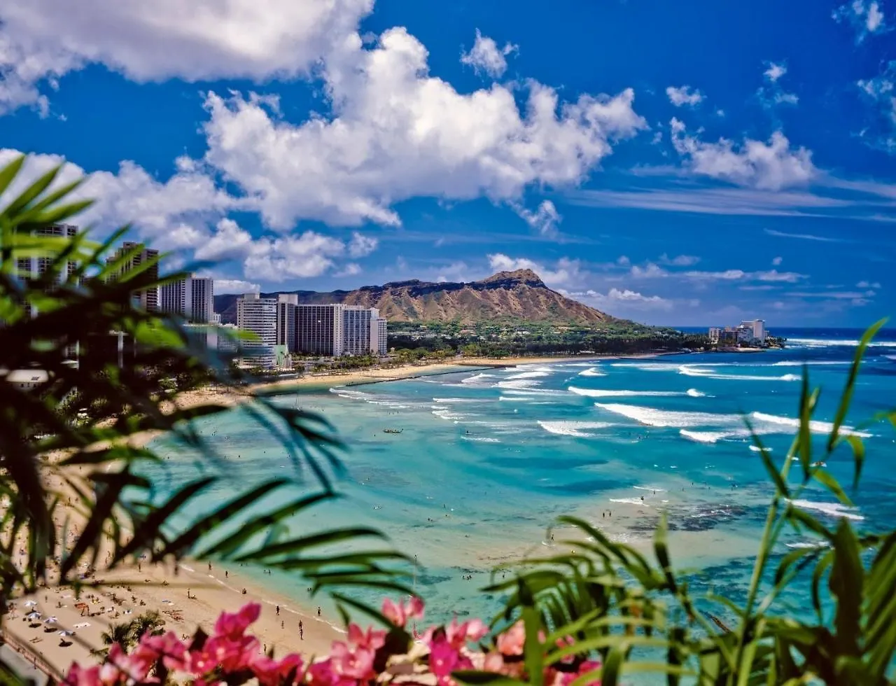 Apartment Diamond Head & Ocean View Gem Near Waikiki Beach, Parking'S On Us Honolulu