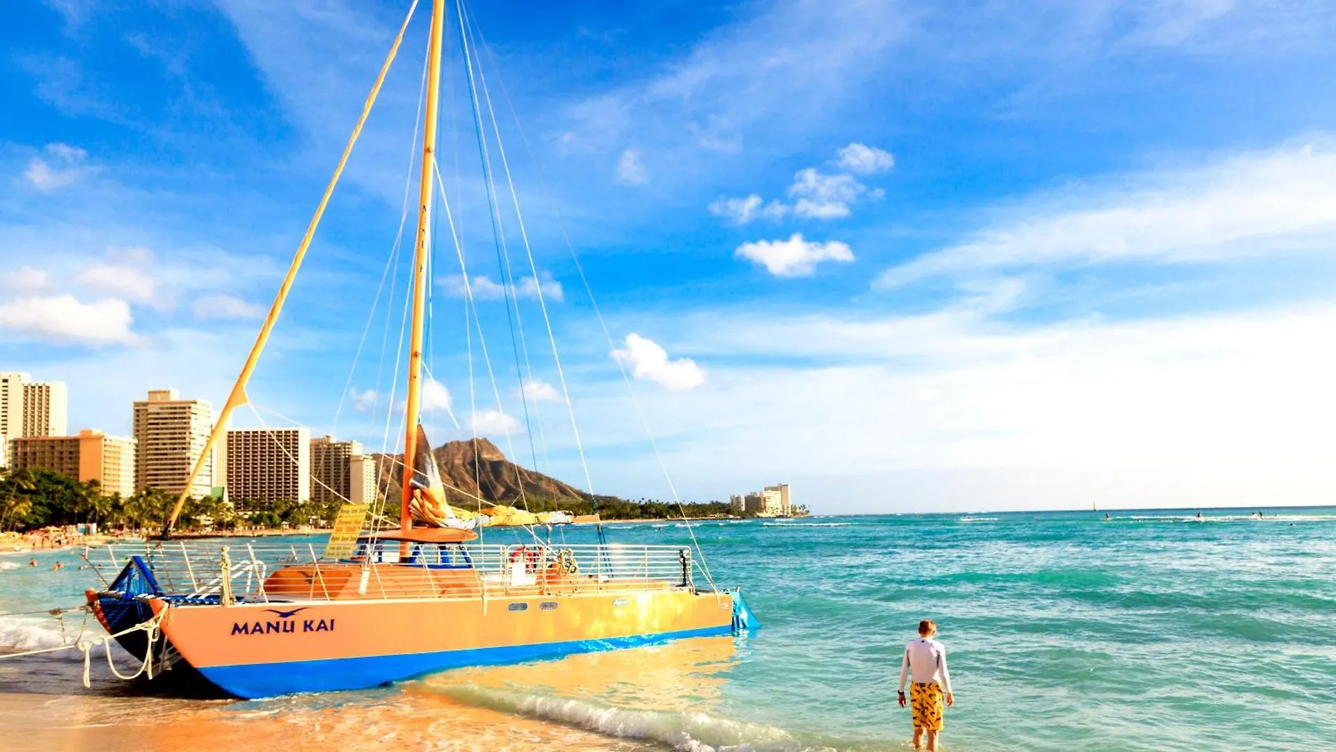Diamond Head & Ocean View Gem Near Waikiki Beach, Parking'S On Us Honolulu 0*,  United States